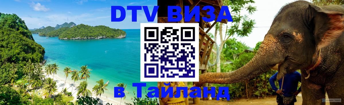 Оформление DTV визы под ключ: стоимость и тарифы, только загранпаспорт - 
